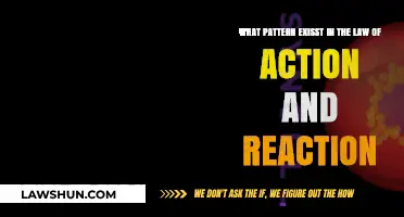 Unraveling the Symmetric Patterns in Action-Reaction Laws