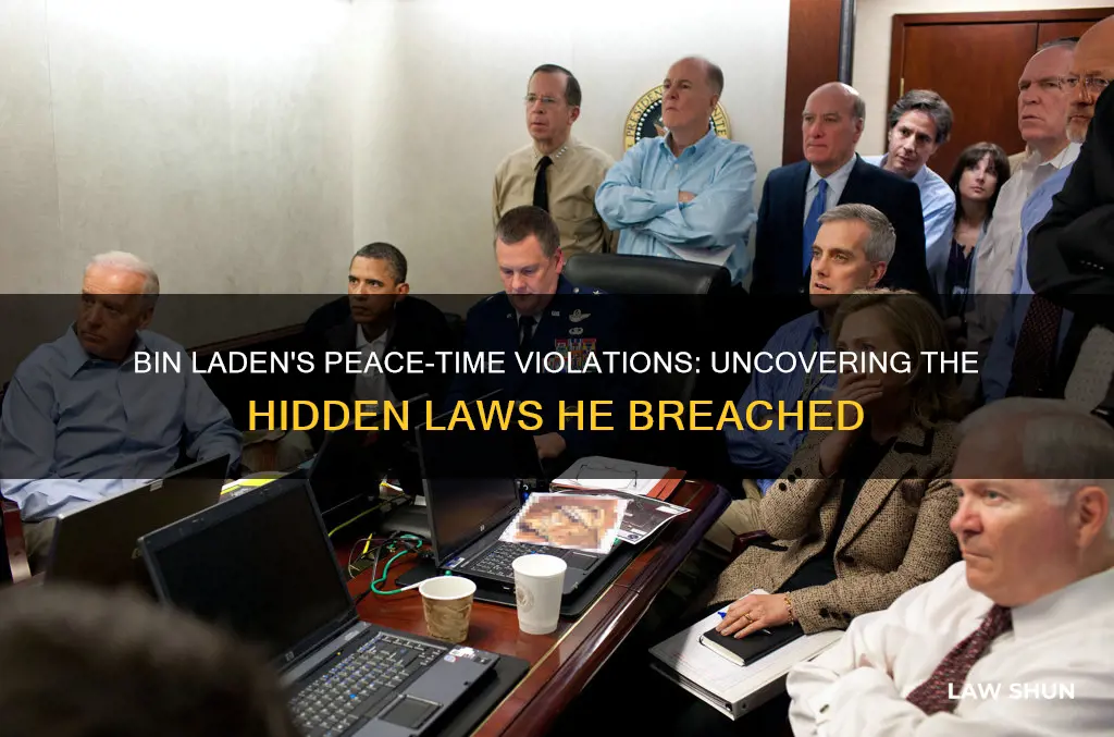 what peacetime laws did bin laden break