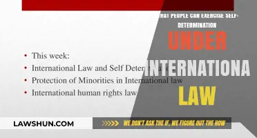 Self-Determination: Who Can Exercise It?