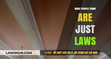 Perceived Fairness: Unraveling the Myths Behind 'Just Laws' and Reality