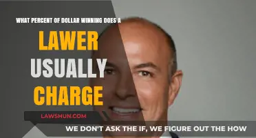 How Much Do Lawyers Typically Charge for Dollar-Winning Cases?