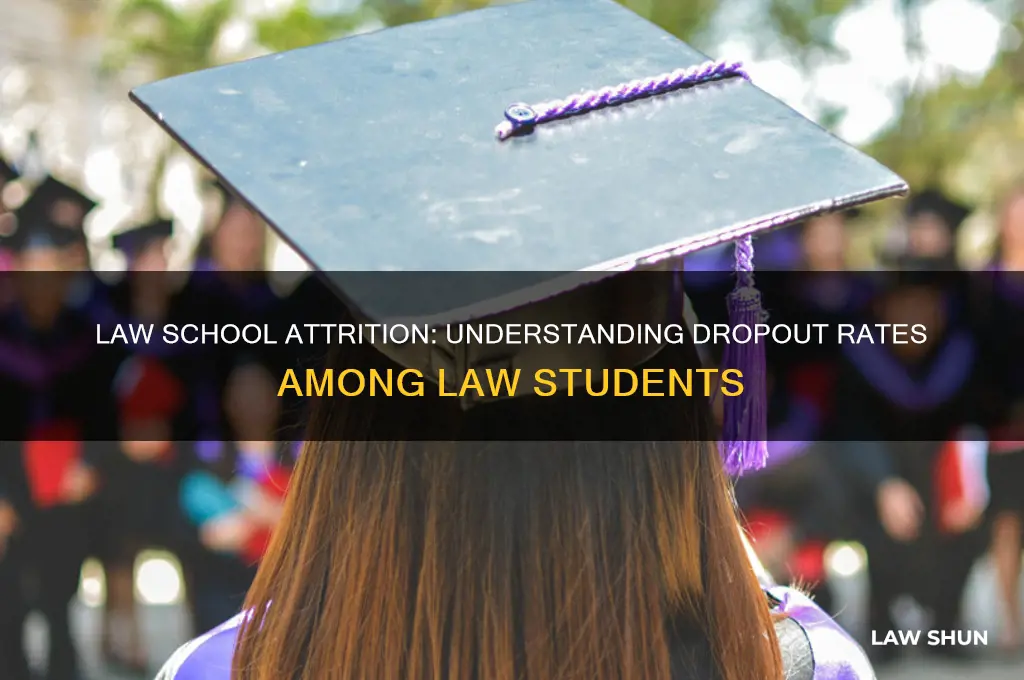 what percent of law students drop out