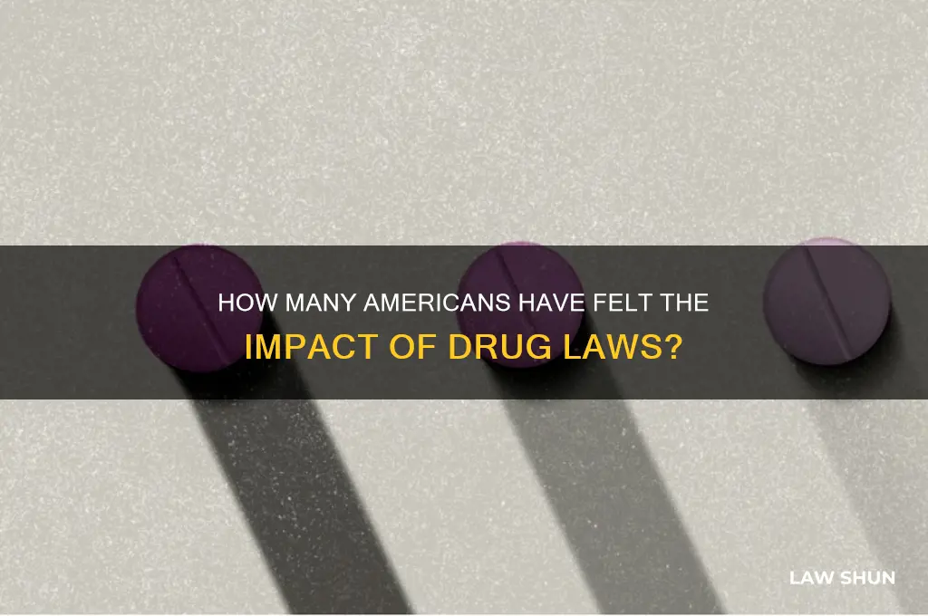 what percentage of americans have been affected by drug laws