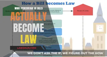 Understanding the Lawmaking Process: Bills to Laws