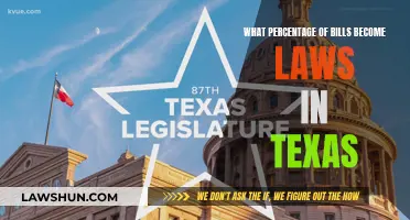 Texas Bills to Laws: Success Rate Explained