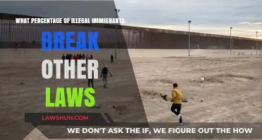 The Dark Side: How Many Immigrants Break the Law?