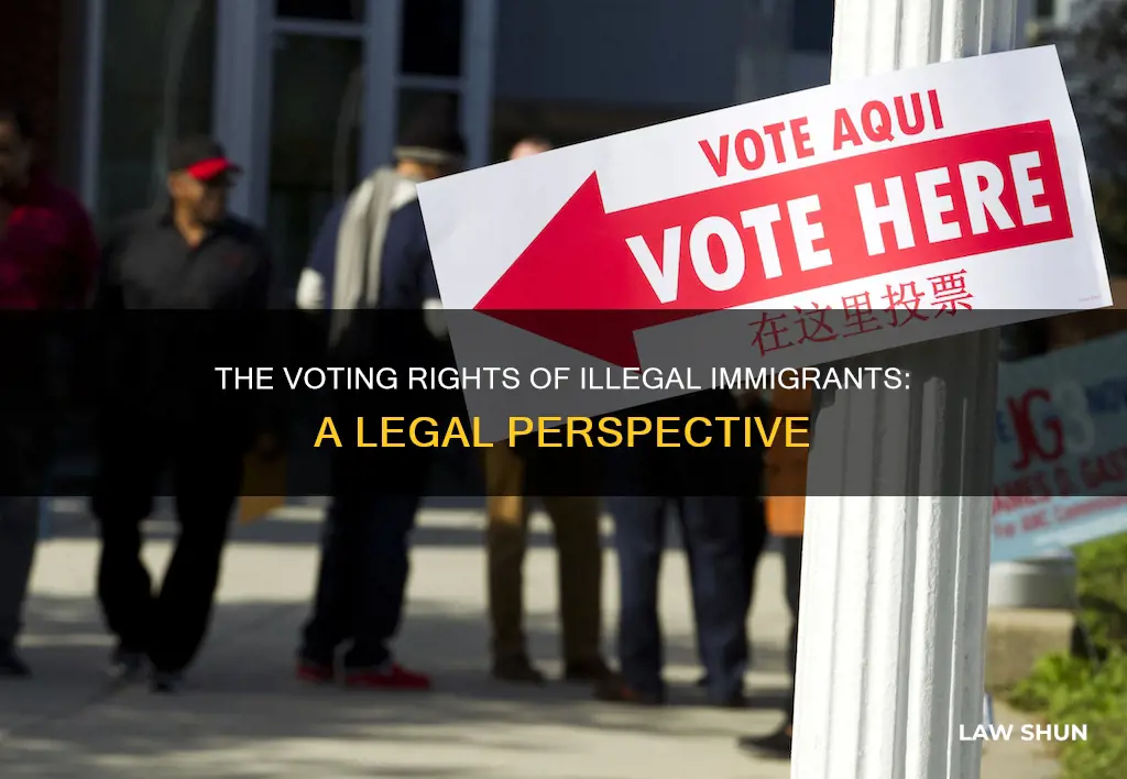 what percentage of illigal immigrants break voting laws