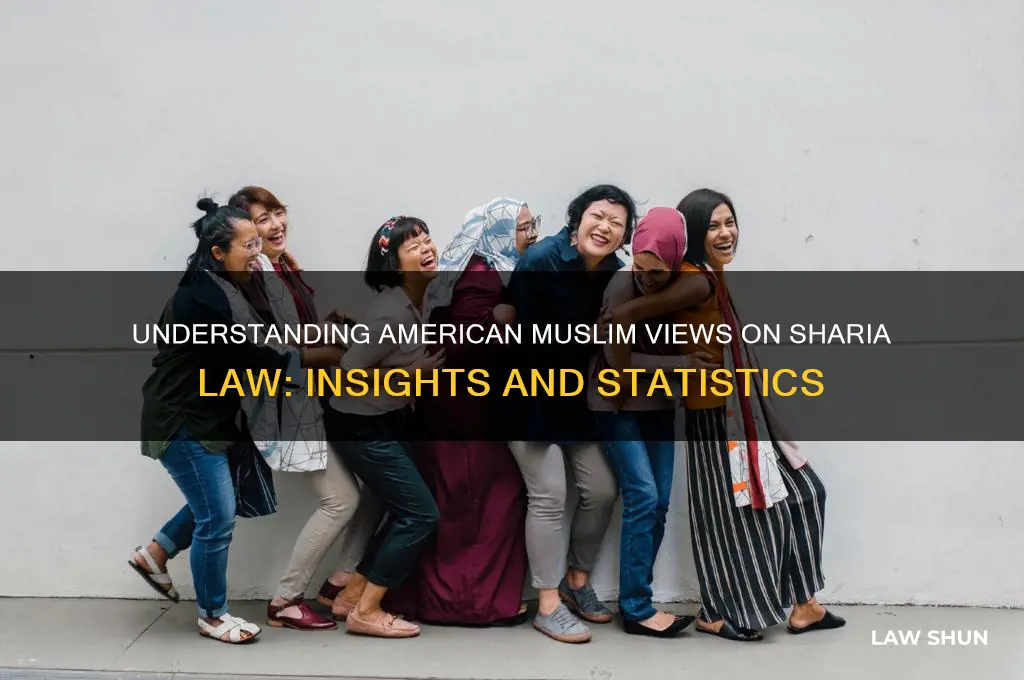 what percentage of muslims in the us support shiara law