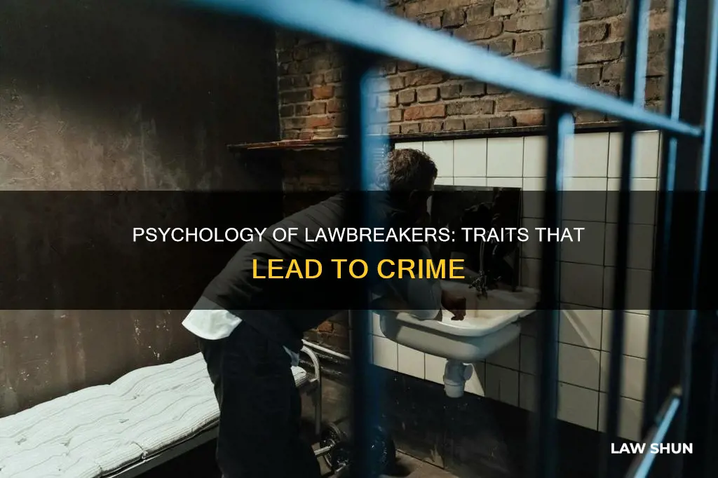what personality trait breaks laws