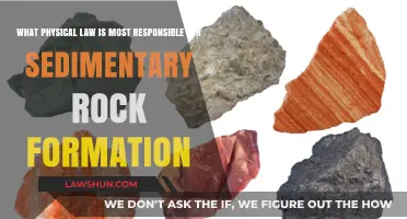 How Lithification and Compaction Drive Sedimentary Rock Formation