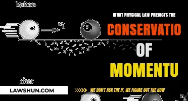 Newton's Third Law: The Foundation of Momentum Conservation Explained