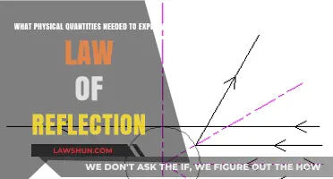 Understanding Reflection: Key Physical Quantities Behind the Law of Reflection