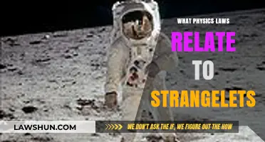 Exploring Physics Laws Governing Strangelets: A Comprehensive Overview