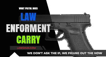 Standard Issue: Pistols Commonly Carried by Law Enforcement Officers