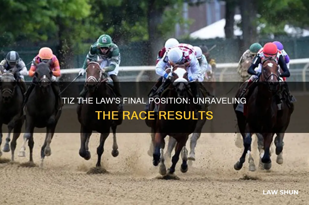 what place did tiz the law come in