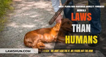 Harsher Penalties for Animal Cruelty Than Human Crimes: Which Country?