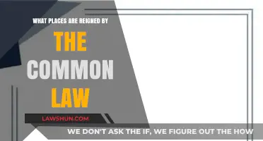 Common Law Reigns: Where and How?