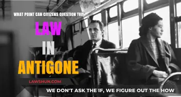 Citizens' Duty: Questioning the Law in Antigone