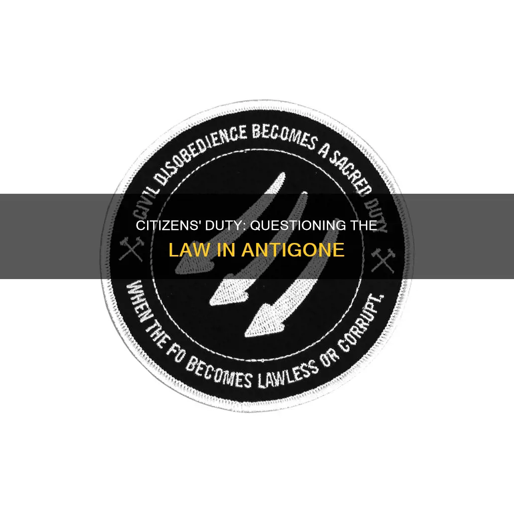 what point can citizens question the law in antigone