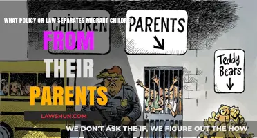 Family Separation Crisis: Understanding the Policy Dividing Migrant Families