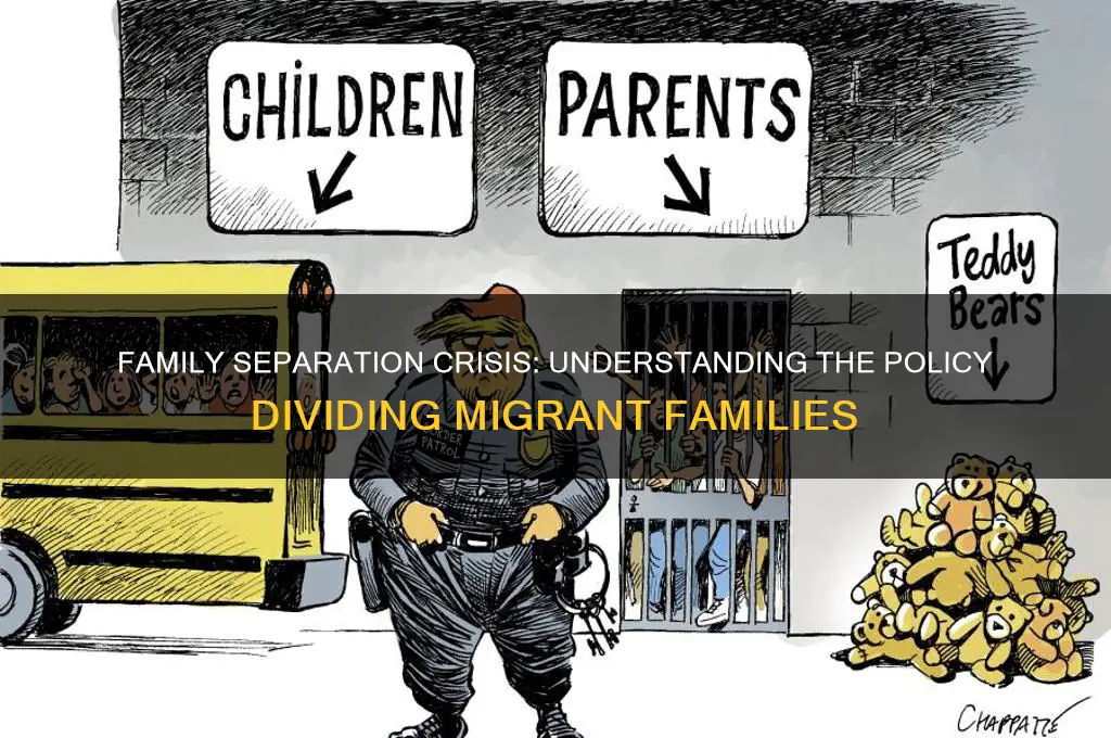 what policy or law separates migrant children from their parents