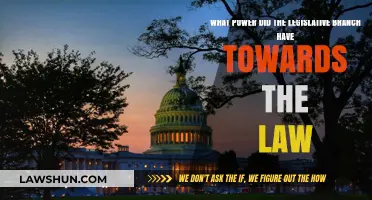 Legislative Branch Authority: Shaping Laws and Policy in Governance