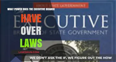 Executive Authority: Shaping and Influencing Legislation in Government