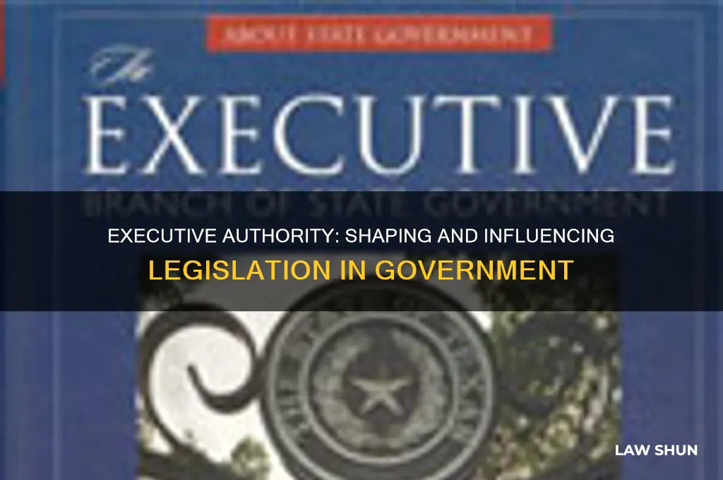 what power does the executive branch have over laws