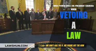 Presidential Veto Power: How It Shapes Legislation and Policy