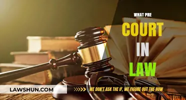 Understanding Pre-Court Legal Procedures: Essential Steps Before Litigation