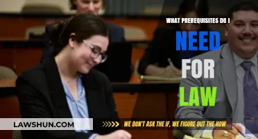 Essential Prerequisites for Pursuing a Successful Law Career