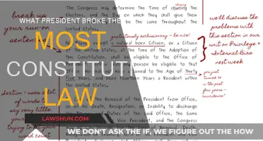 Which US President: Most Constitutional Law Breakers?
