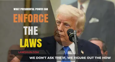 Executive Powers: Enforcing Laws, Shaping America's Future