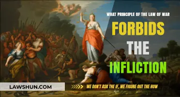 Humanity in Warfare: The Principle Forbidding Cruelty and Suffering