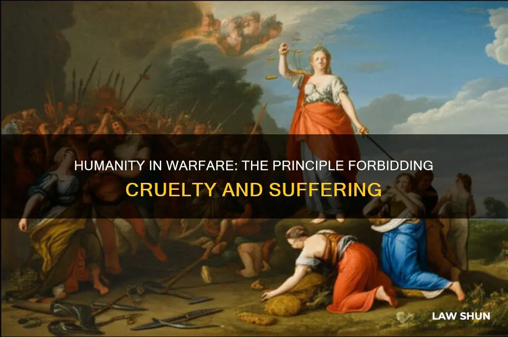 what principle of the law of war forbids the infliction