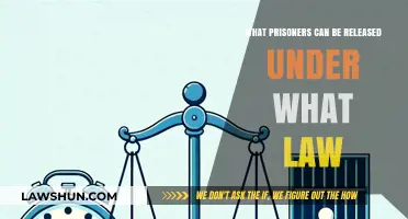 Prisoner Release Laws: Who Gets Out?