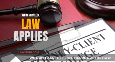 Understanding Privilege Law: Navigating Complex Legal Privileges