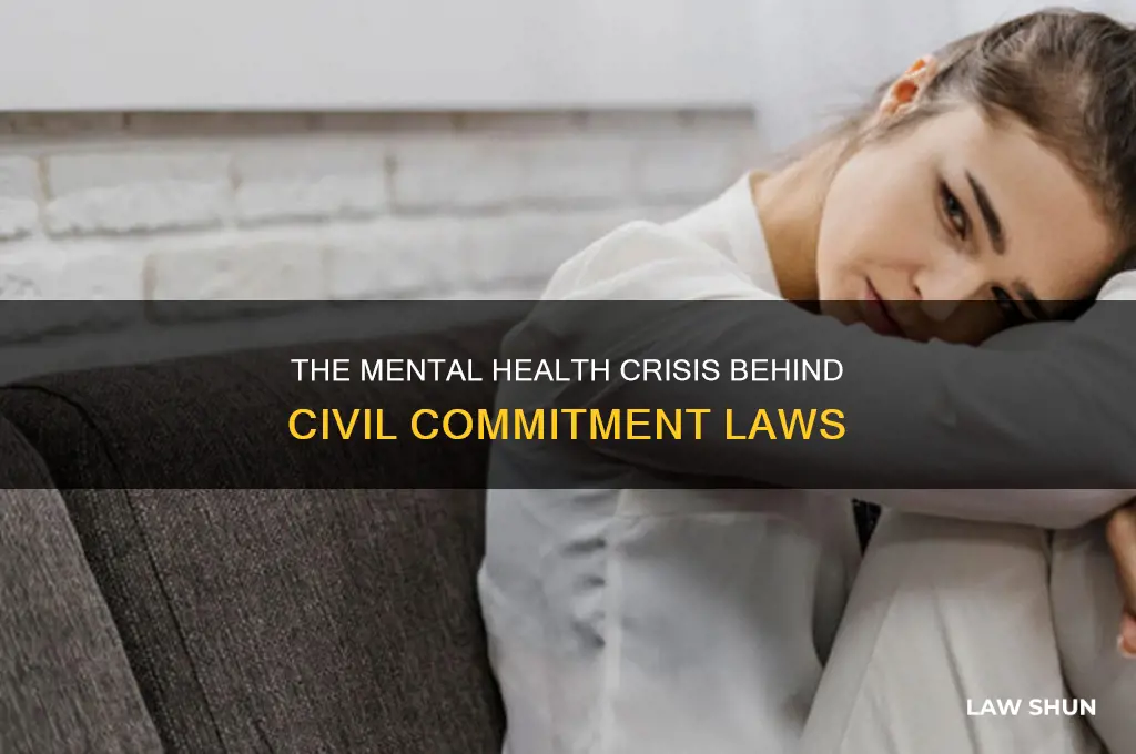 what problem led to the development of civil commitment laws
