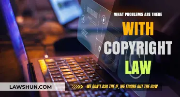 Copyright Law Challenges: Fair Use, Enforcement, and Creative Limitations Explored