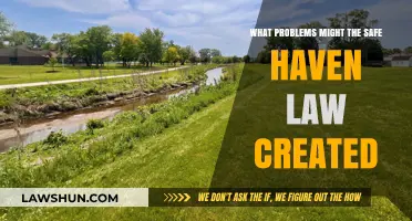 Safe Haven Law: What Problems May Arise?
