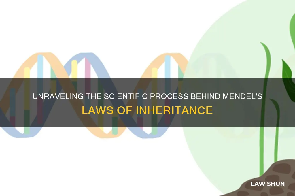 what process is responsible for the validity of mendel