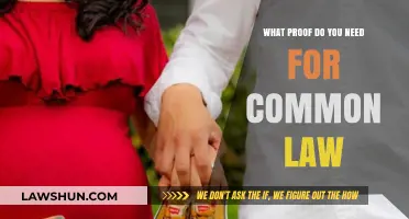 Understanding Common-Law Marriage: What Proof is Needed?