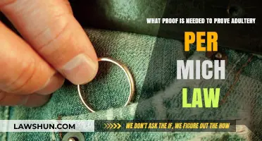 Proving Adultery in Michigan: Essential Evidence and Legal Requirements