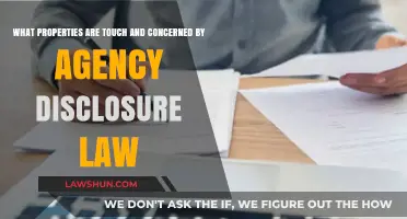 Agency Disclosure Law: Key Properties and Legal Obligations Explained