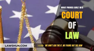 Proving Guilt: Evidence, Standards, and Legal Burden in Court