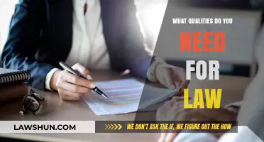 Essential Skills and Traits for Success in the Legal Profession