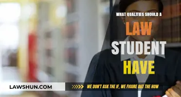Essential Traits for Success: Qualities Every Aspiring Law Student Needs