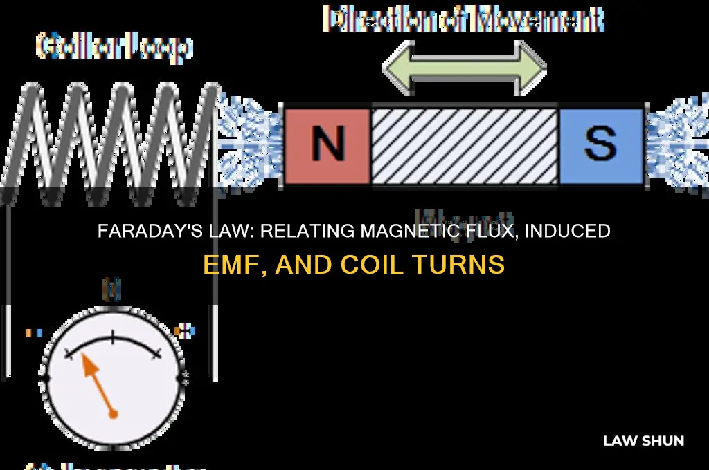 what quantities does faraday