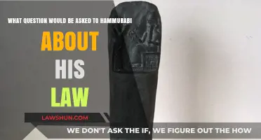 Unveiling Justice: What Would We Ask Hammurabi About His Code?