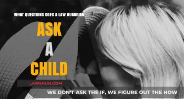 Understanding Law Guardians: Key Questions Asked to Protect Children's Interests